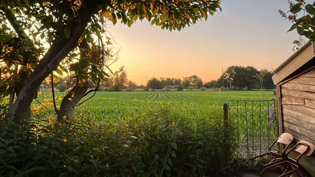 natuur in kinderboeken