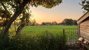 natuur in kinderboeken