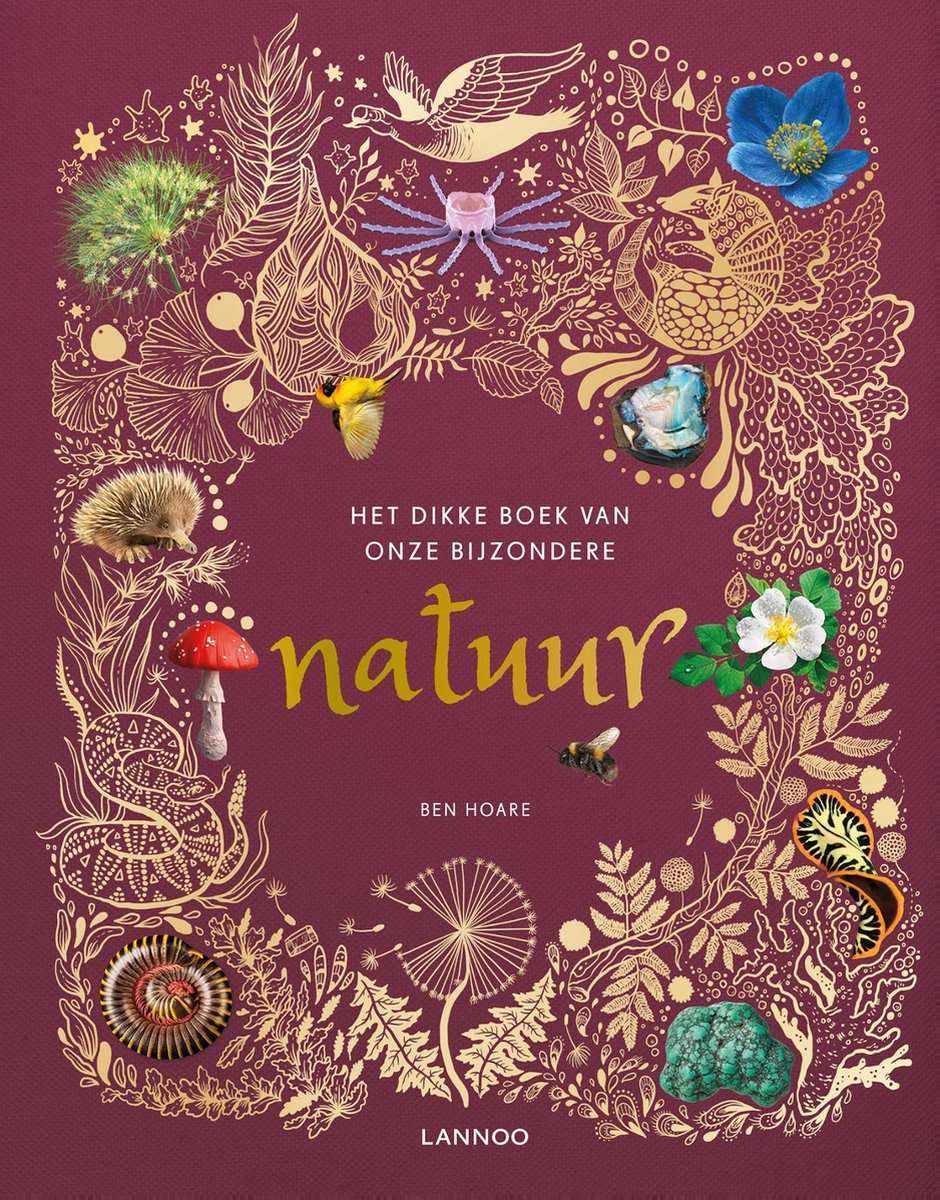 Het dikke boek van onze bijzondere natuur - kinderboeken over de natuur