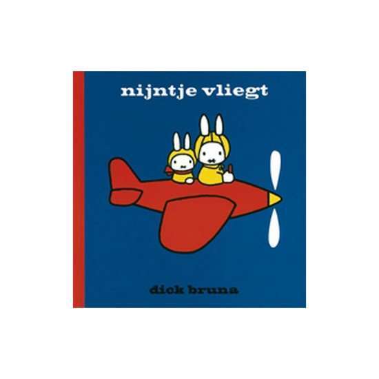 voertuigen kinderboek nijntje vliegt