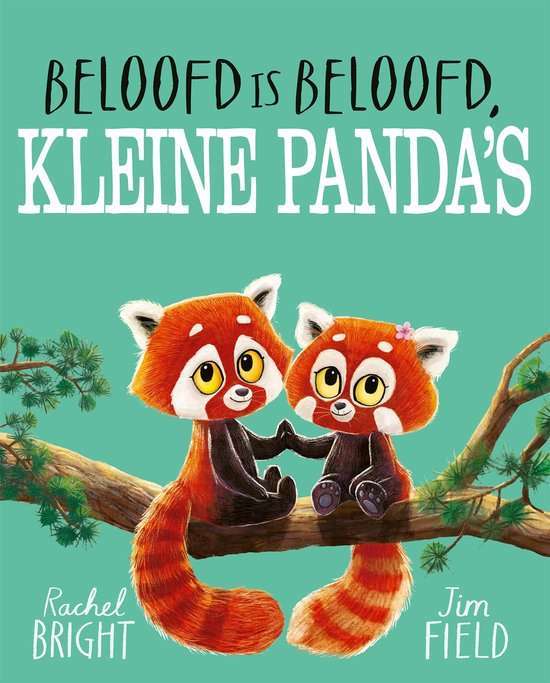 kinderboeken top 10 Beloofd is beloofd, kleine panda's