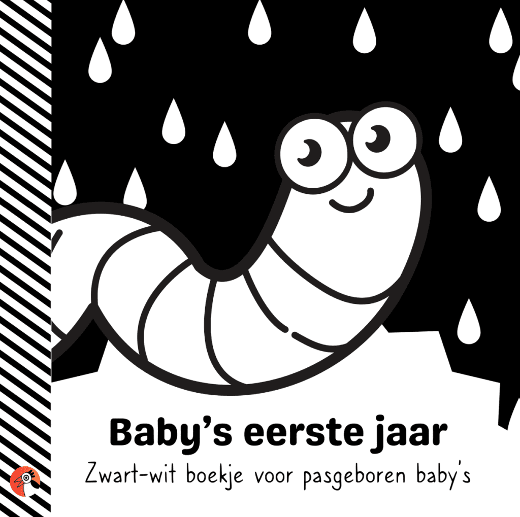 baby boekjes eerste jaar