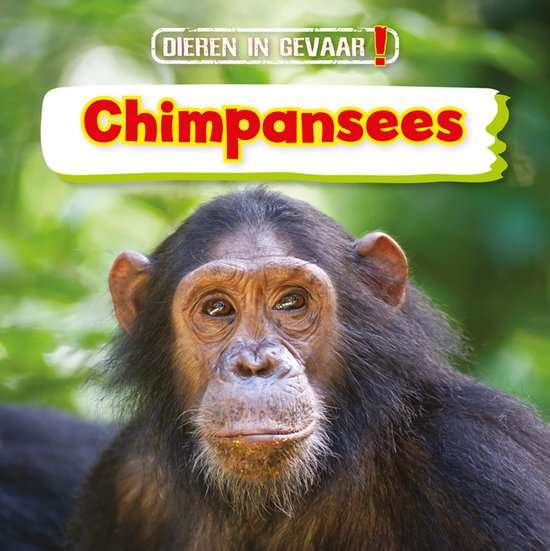 Dieren in gevaar! - Chimpansees