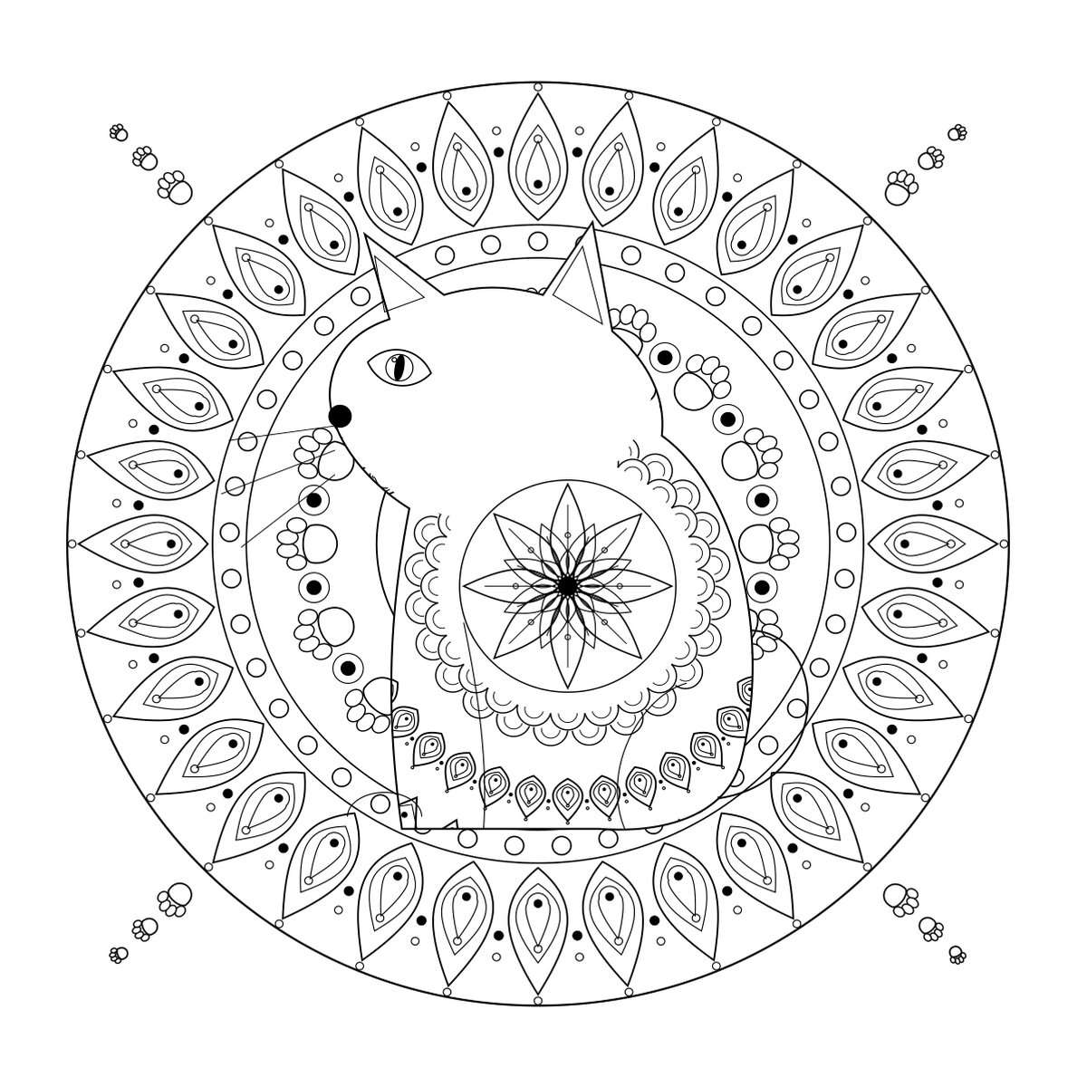 Katten mandala kleurboek voor volwassenen – kat vol patronen kleurplaat